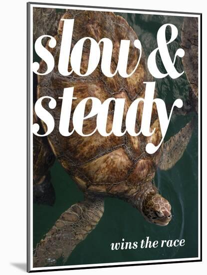 Slow and Steady-Lisa S. Engelbrecht-Mounted Photographic Print