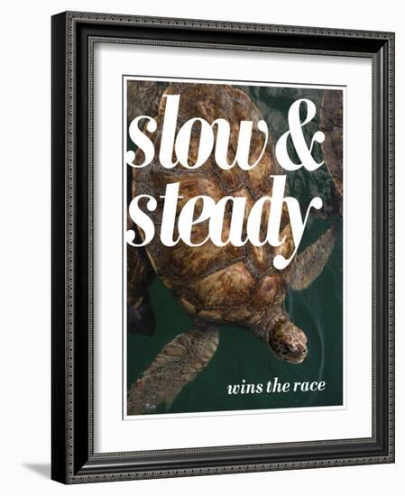 Slow and Steady-Lisa S. Engelbrecht-Framed Photographic Print