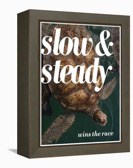 Slow and Steady-Lisa S. Engelbrecht-Framed Premier Image Canvas