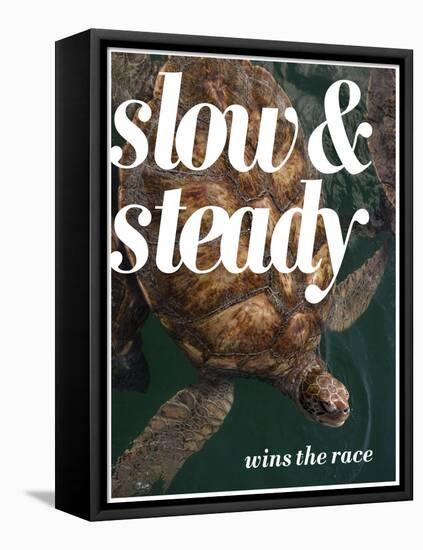 Slow and Steady-Lisa S. Engelbrecht-Framed Premier Image Canvas