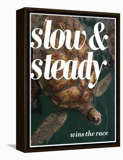 Slow and Steady-Lisa S. Engelbrecht-Framed Premier Image Canvas