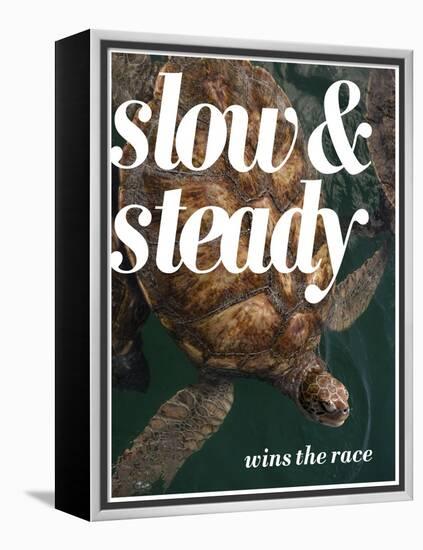 Slow and Steady-Lisa S. Engelbrecht-Framed Premier Image Canvas