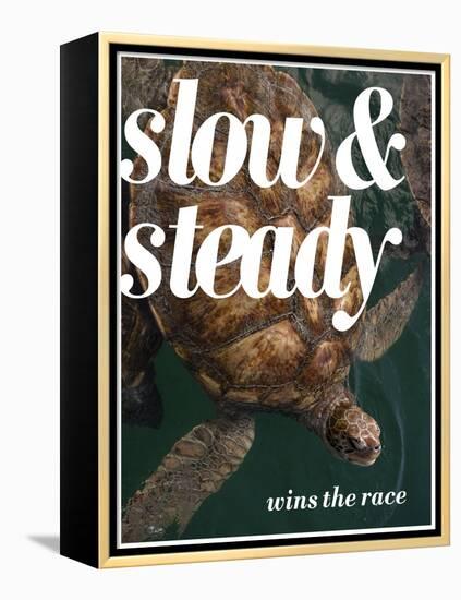 Slow and Steady-Lisa S. Engelbrecht-Framed Premier Image Canvas