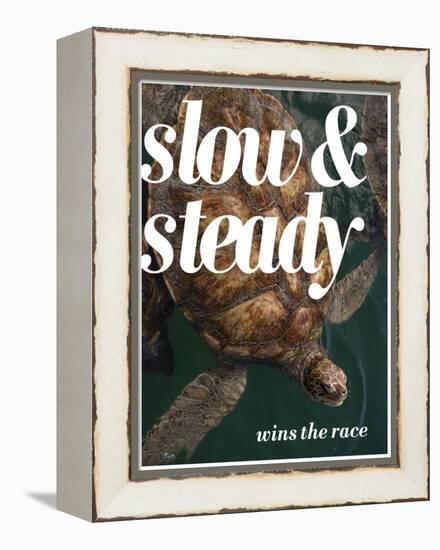 Slow and Steady-Lisa S. Engelbrecht-Framed Premier Image Canvas