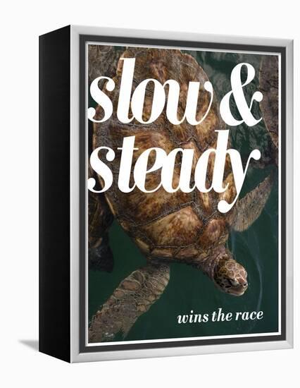 Slow and Steady-Lisa S. Engelbrecht-Framed Premier Image Canvas