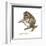 Slow Loris (Nycticebus Coucang), Primate, Mammals-Encyclopaedia Britannica-Framed Art Print