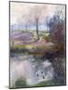 Slow Melt-Timothy Easton-Mounted Giclee Print