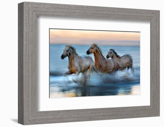 Slow Motion Horses-Xavier Ortega-Framed Photographic Print