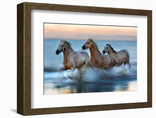 Slow Motion Horses-Xavier Ortega-Framed Photographic Print