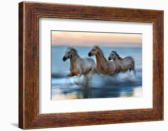 Slow Motion Horses-Xavier Ortega-Framed Photographic Print