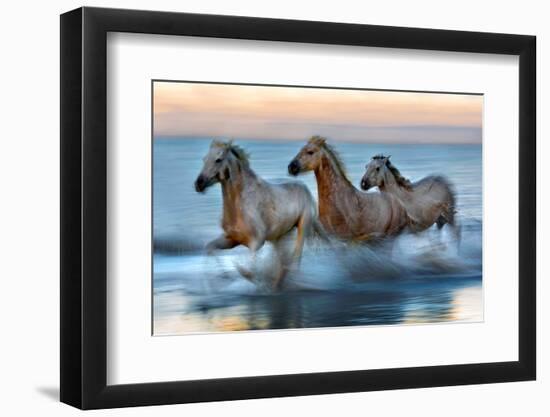 Slow Motion Horses-Xavier Ortega-Framed Photographic Print