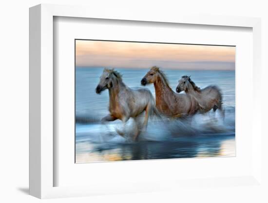 Slow Motion Horses-Xavier Ortega-Framed Photographic Print