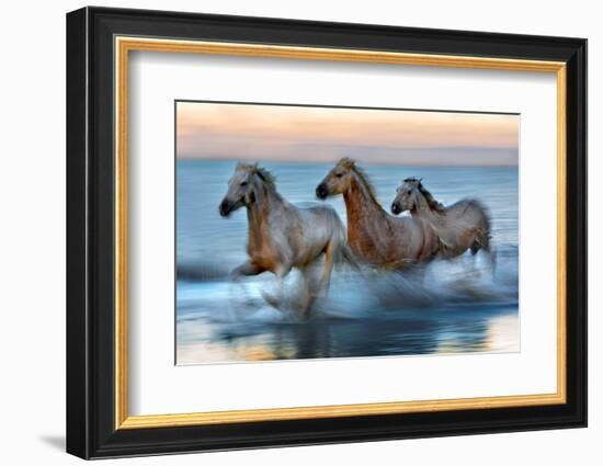 Slow Motion Horses-Xavier Ortega-Framed Photographic Print