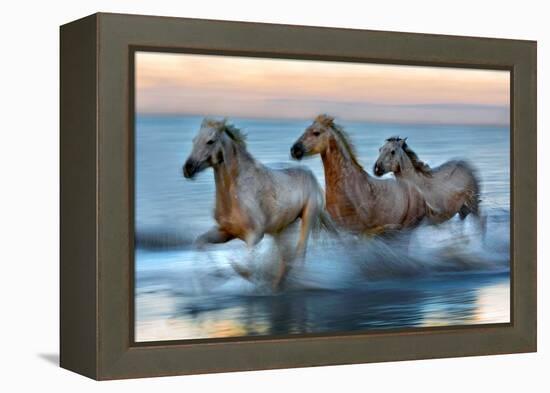 Slow Motion Horses-Xavier Ortega-Framed Premier Image Canvas