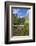 Slow Shutter Speed Silky Water of the Olden River as it Flows Along Briksdalen-Michael Nolan-Framed Photographic Print