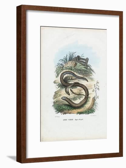 Slow Worm, 1863-79-Raimundo Petraroja-Framed Giclee Print