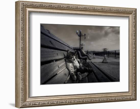 Sluggard-Ahmet Mustafa Arvas-Framed Photographic Print