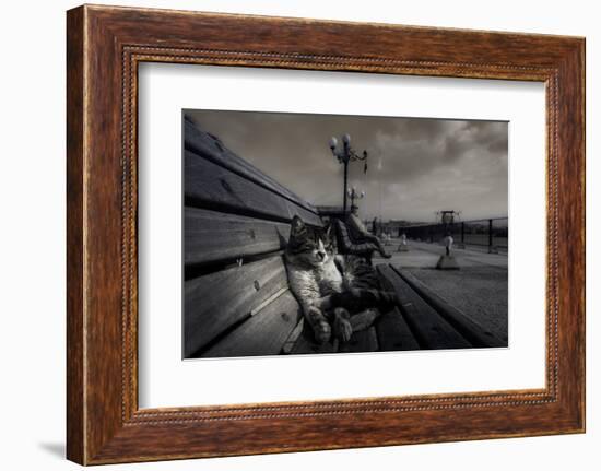 Sluggard-Ahmet Mustafa Arvas-Framed Photographic Print