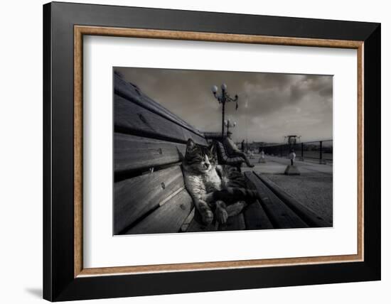 Sluggard-Ahmet Mustafa Arvas-Framed Photographic Print