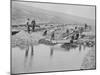 Sluicing on Number Two Claim at Anvil Creek Nome Alaska During the Gold Rush-Hegg-Mounted Photographic Print