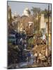 Slums Within a Kilometer of the Taj Mahal, Agra, Uttar Pradesh, India-Robert Harding-Mounted Photographic Print