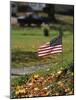 Small American Flag Posted in Yard-Bob Rowan-Mounted Photographic Print