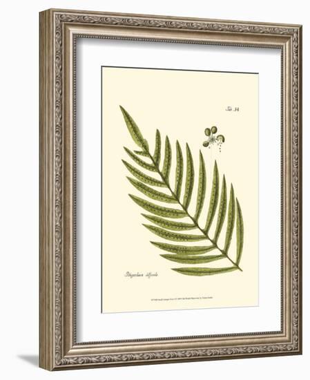 Small Antique Fern I-null-Framed Art Print