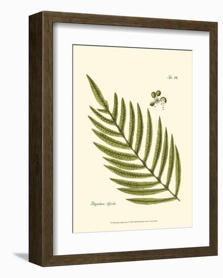 Small Antique Fern I-null-Framed Art Print