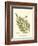 Small Antique Fern I-null-Framed Art Print