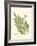 Small Antique Fern I-null-Framed Art Print