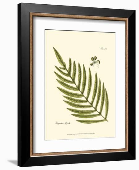 Small Antique Fern I-null-Framed Art Print