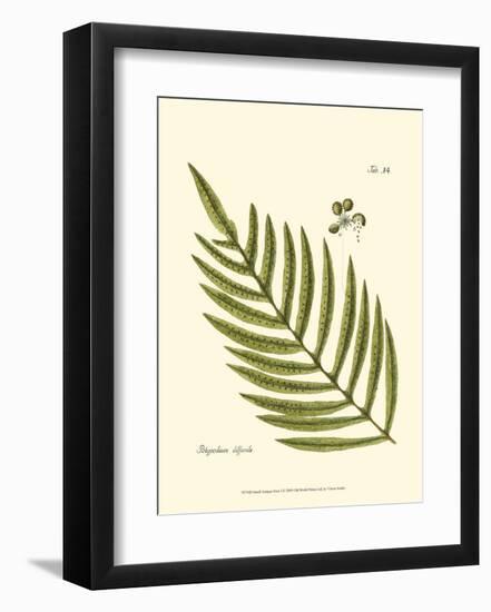 Small Antique Fern I-null-Framed Art Print