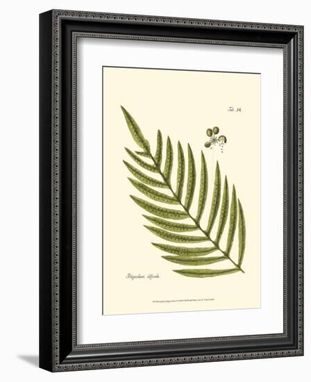 Small Antique Fern I-null-Framed Art Print