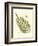 Small Antique Fern I-null-Framed Art Print