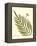 Small Antique Fern I-Vision Studio-Framed Stretched Canvas