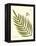 Small Antique Fern I-Vision Studio-Framed Stretched Canvas