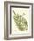 Small Antique Fern I-Vision Studio-Framed Art Print