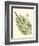 Small Antique Fern I-Vision Studio-Framed Art Print