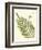 Small Antique Fern I-Vision Studio-Framed Art Print