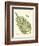 Small Antique Fern I-Vision Studio-Framed Art Print