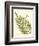 Small Antique Fern I-Vision Studio-Framed Art Print