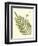 Small Antique Fern I-Vision Studio-Framed Art Print