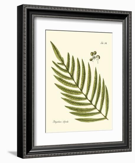 Small Antique Fern I-Vision Studio-Framed Art Print