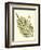 Small Antique Fern I-Vision Studio-Framed Art Print