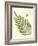 Small Antique Fern I-Vision Studio-Framed Art Print