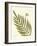 Small Antique Fern I-Vision Studio-Framed Art Print