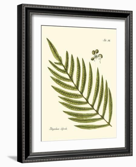 Small Antique Fern I-Vision Studio-Framed Art Print