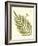 Small Antique Fern I-Vision Studio-Framed Art Print