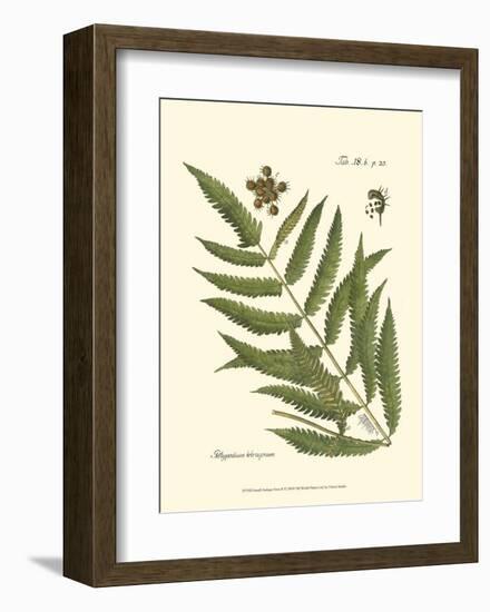 Small Antique Fern II-null-Framed Art Print