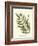 Small Antique Fern II-null-Framed Art Print